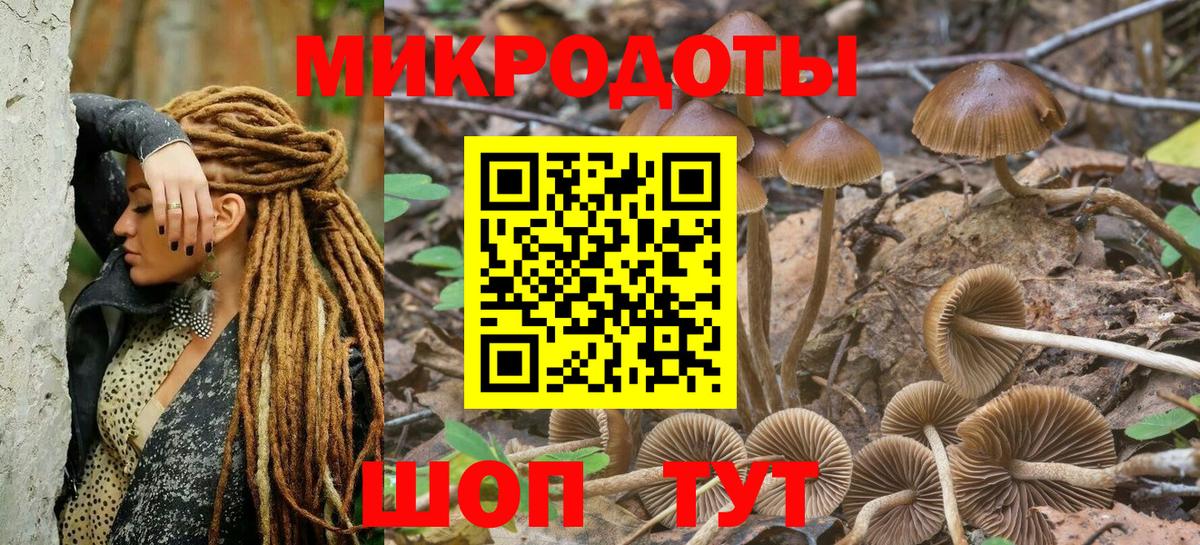 Псилоцибиновые грибы Cubensis Севастополь